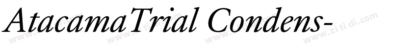 AtacamaTrial Condens字体转换 AtacamaTrial Condens字体转换